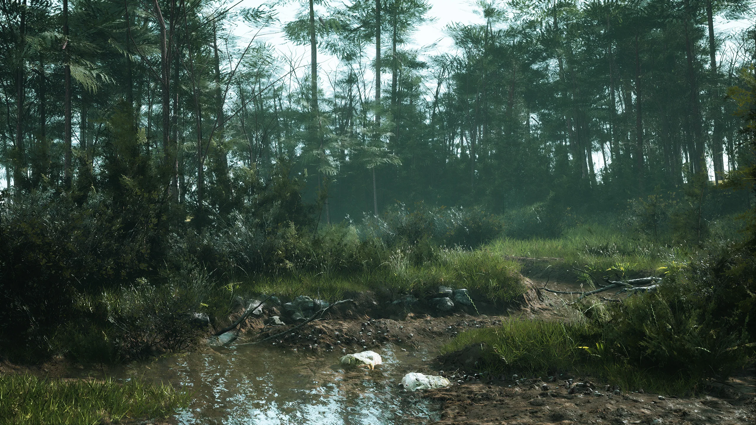 Creek