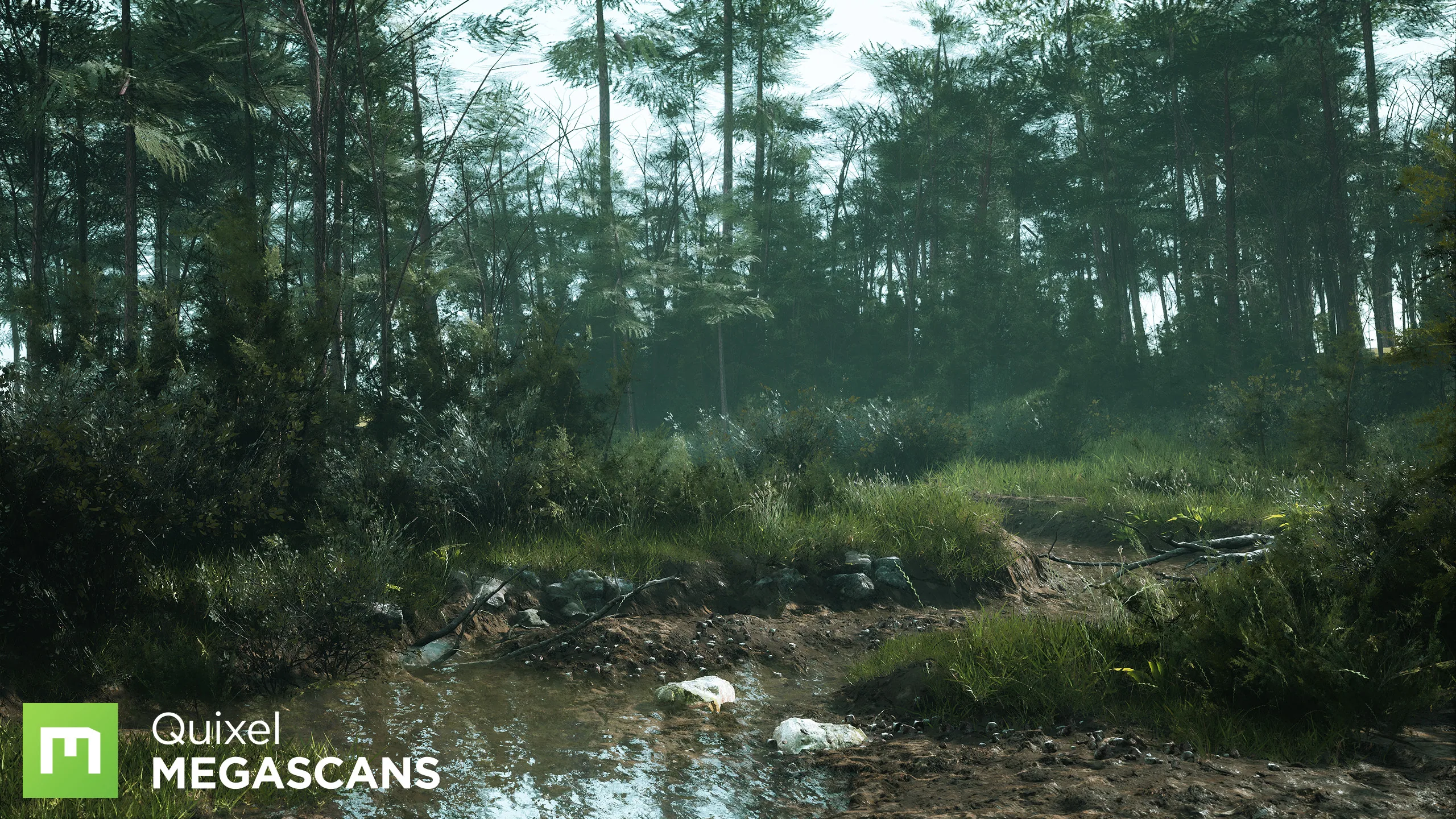 Creek — 2