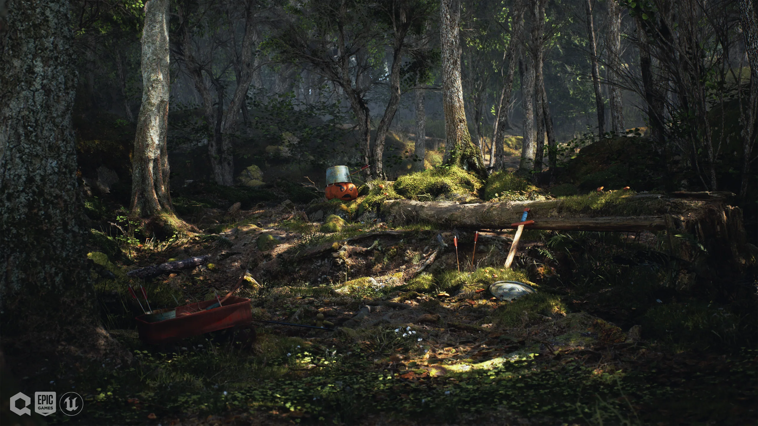 Forest Playground