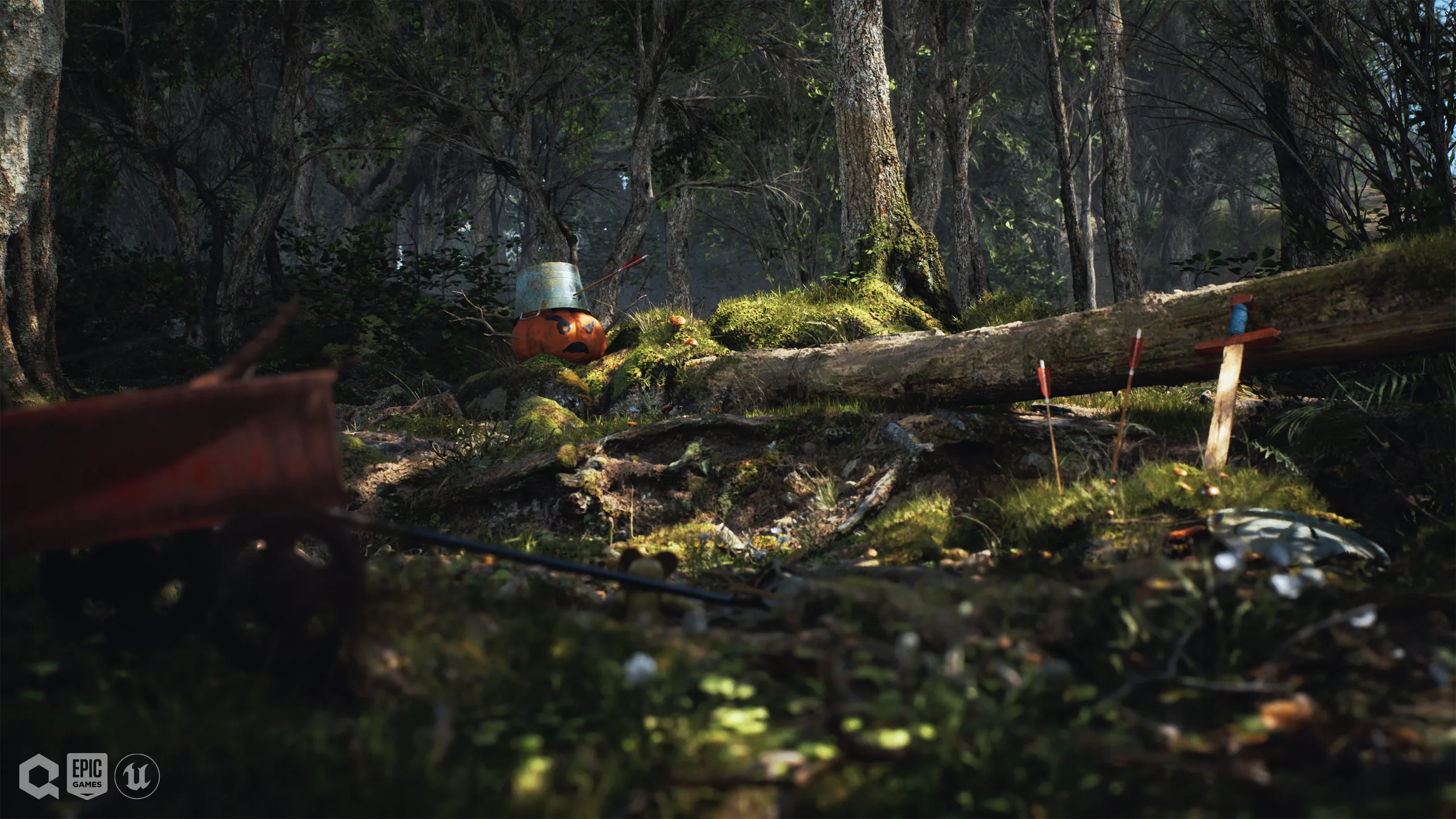 Forest Playground