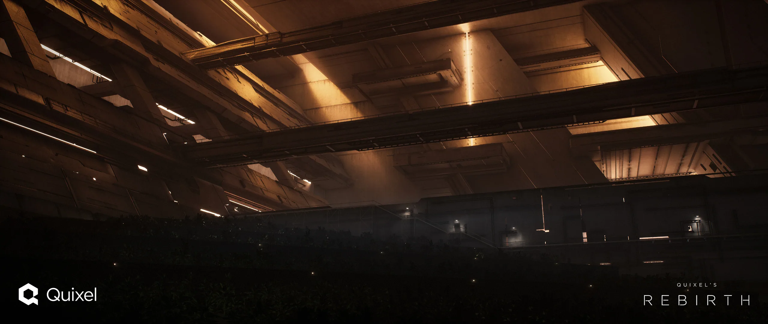 Rebirth — 5