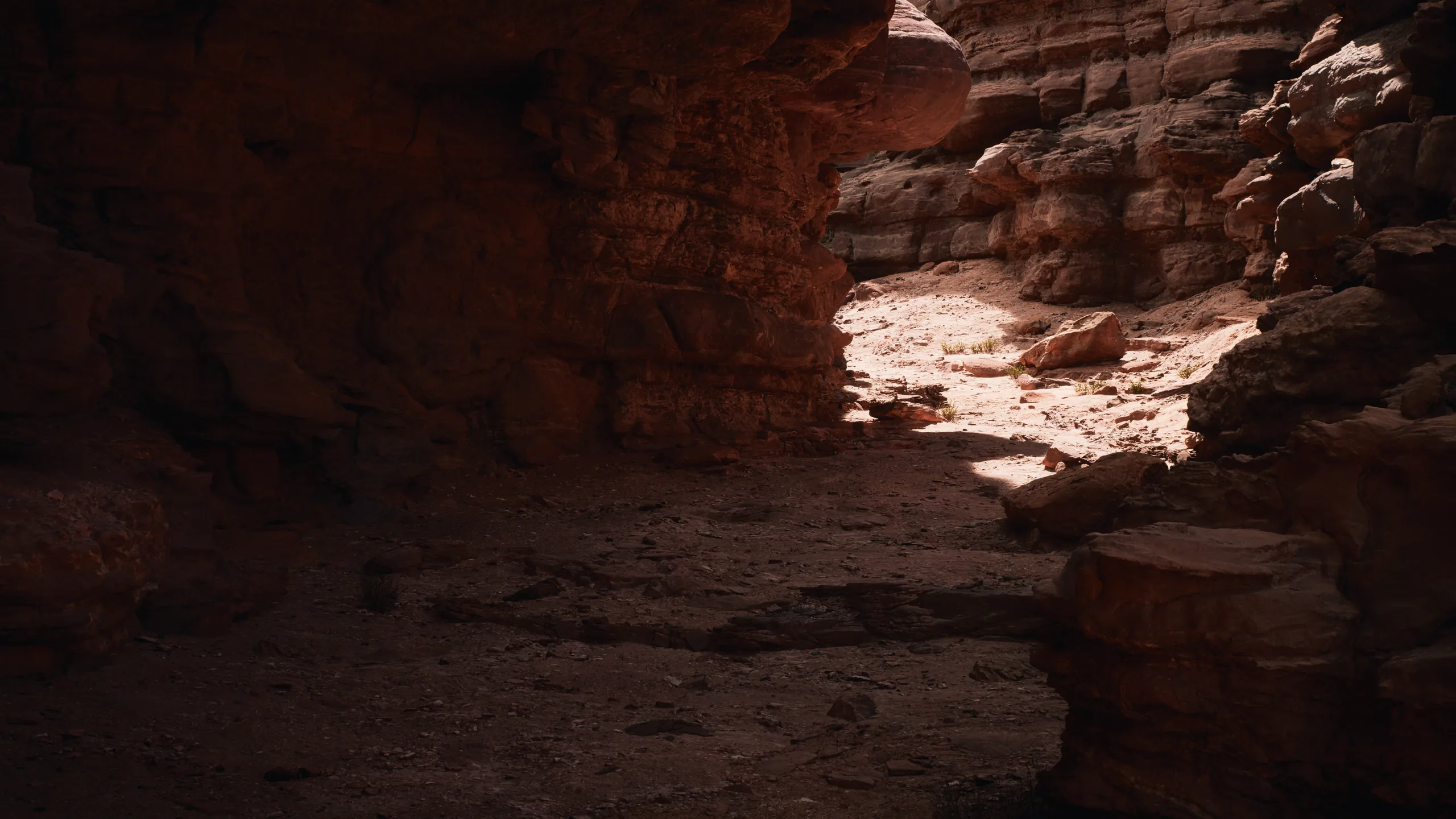 Valley of the Ancient — 4